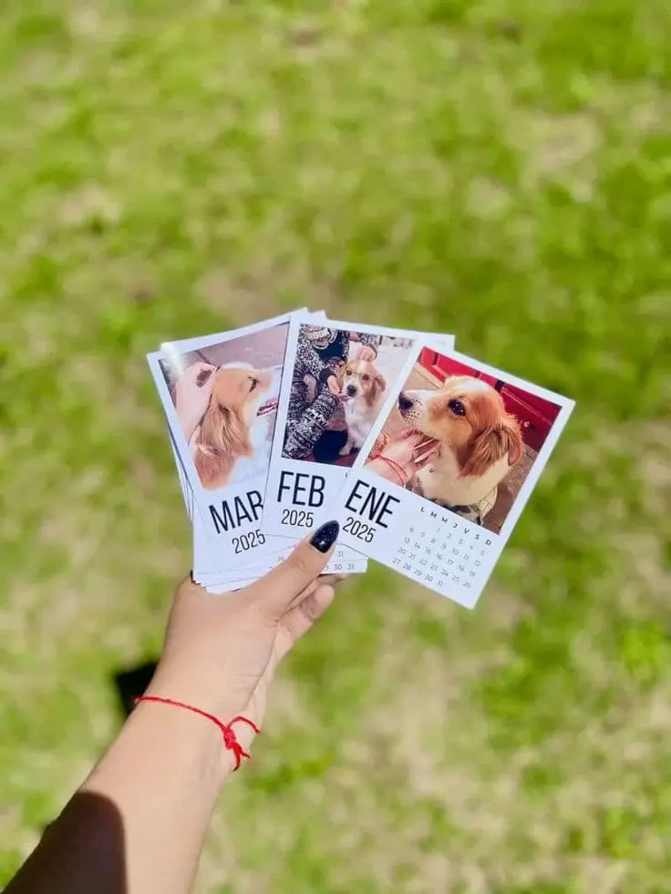 Memory Photo Calendar