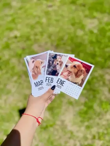 Memory Photo Calendar